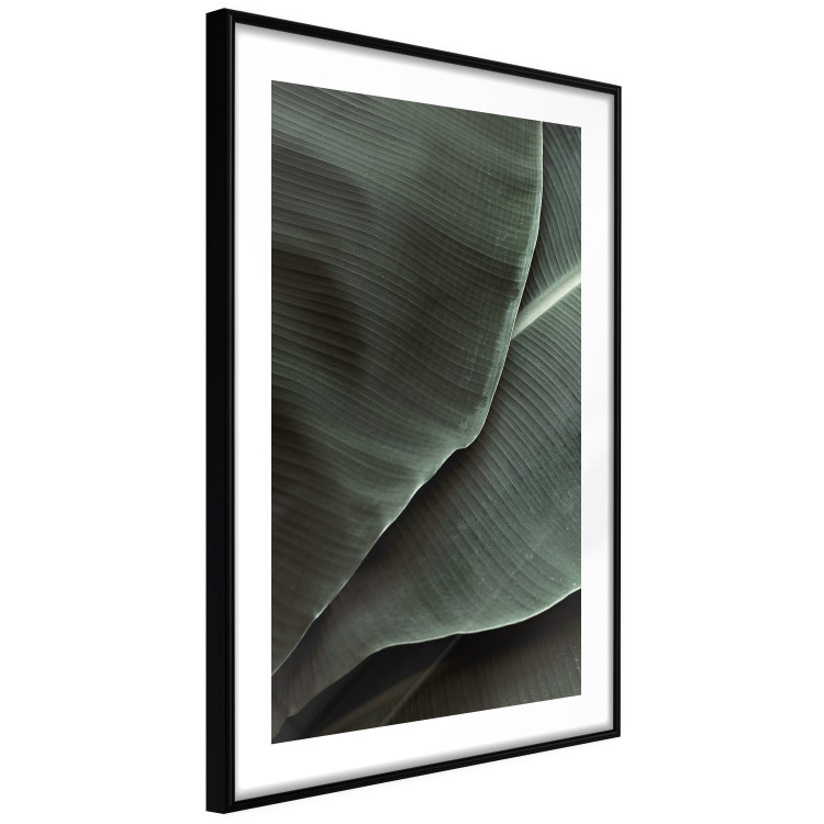 Poster Green Serenity - luxurious composition of leaves with distinct texture 135593 additionalImage 19