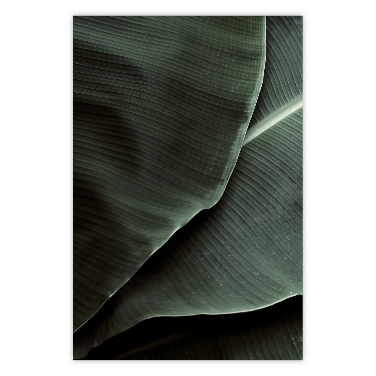 Poster Green Serenity - luxurious composition of leaves with distinct texture 135593