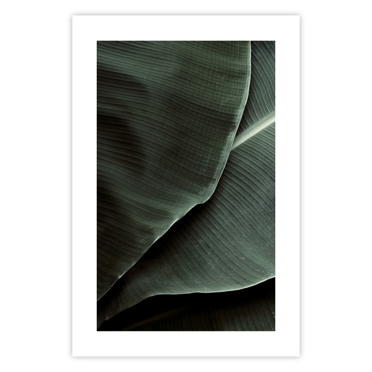 Poster Green Serenity - luxurious composition of leaves with distinct texture 135593 additionalImage 4