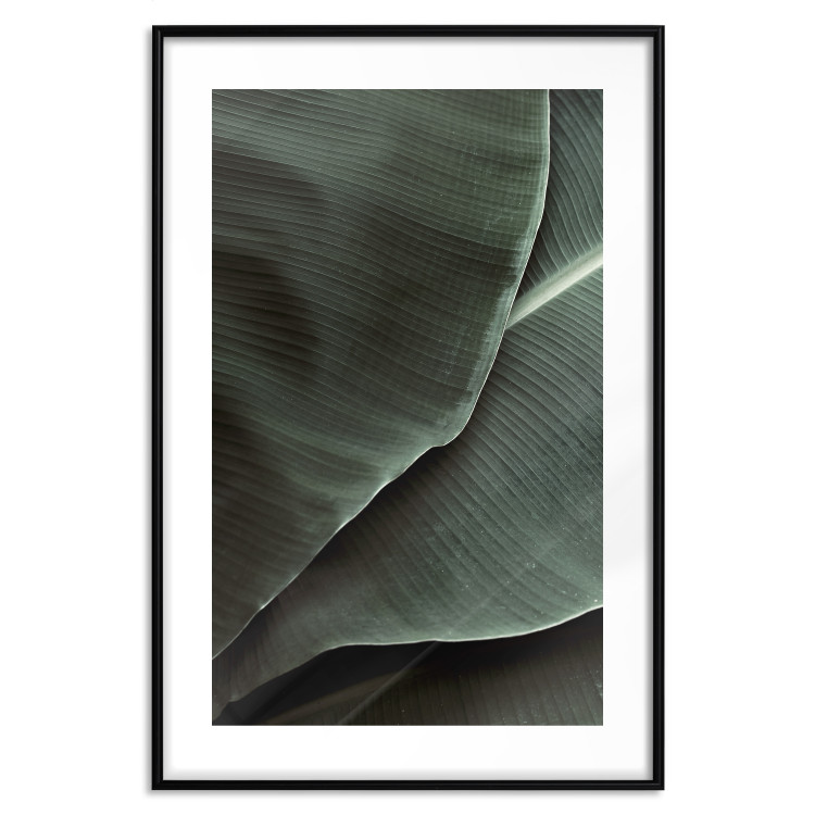 Poster Green Serenity - luxurious composition of leaves with distinct texture 135593 additionalImage 20