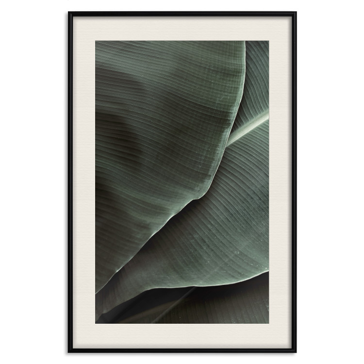 Poster Green Serenity - luxurious composition of leaves with distinct texture 135593 additionalImage 27