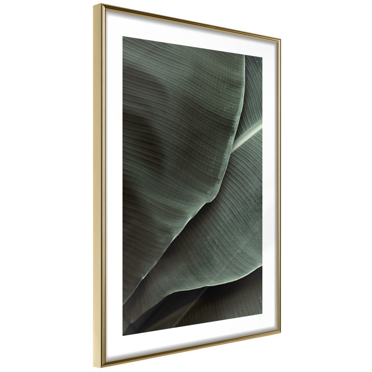 Poster Green Serenity - luxurious composition of leaves with distinct texture 135593 additionalImage 12