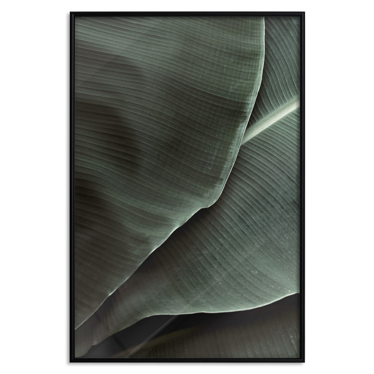 Poster Green Serenity - luxurious composition of leaves with distinct texture 135593 additionalImage 3