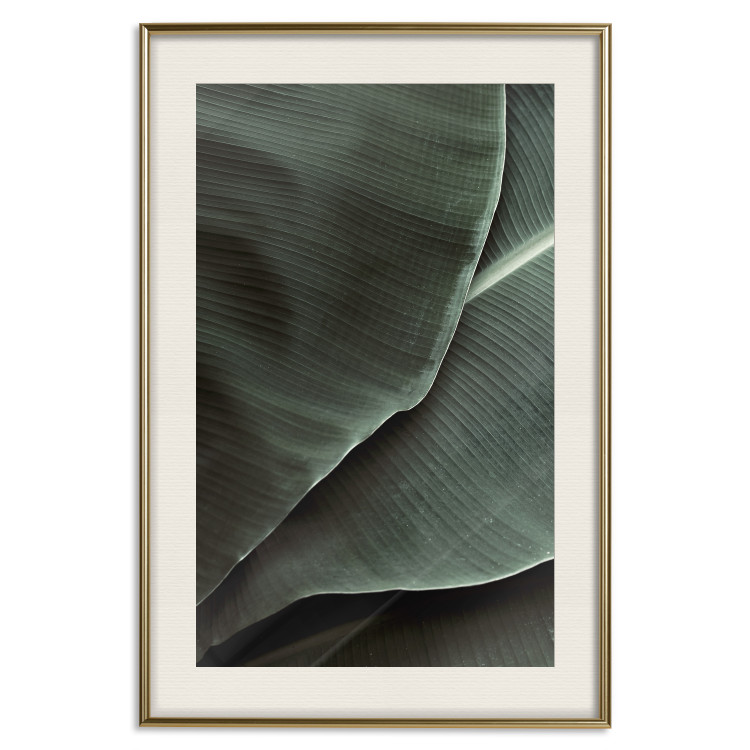 Poster Green Serenity - luxurious composition of leaves with distinct texture 135593 additionalImage 26
