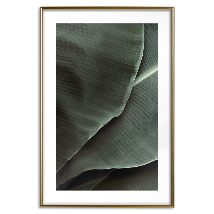 Poster Green Serenity - luxurious composition of leaves with distinct texture 135593 additionalImage 18