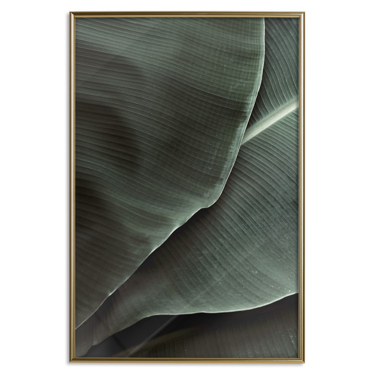 Poster Green Serenity - luxurious composition of leaves with distinct texture 135593 additionalImage 2