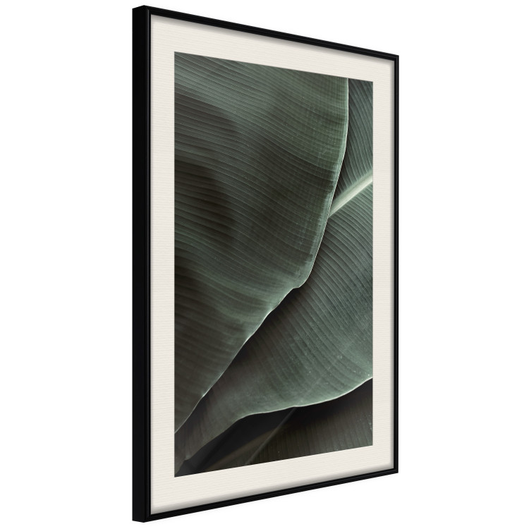 Poster Green Serenity - luxurious composition of leaves with distinct texture 135593 additionalImage 16