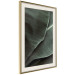 Poster Green Serenity - luxurious composition of leaves with distinct texture 135593 additionalThumb 15