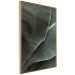 Poster Green Serenity - luxurious composition of leaves with distinct texture 135593 additionalThumb 13