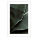 Poster Green Serenity - luxurious composition of leaves with distinct texture 135593 additionalThumb 4