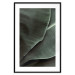 Poster Green Serenity - luxurious composition of leaves with distinct texture 135593 additionalThumb 25