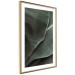 Poster Green Serenity - luxurious composition of leaves with distinct texture 135593 additionalThumb 12