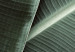 Poster Green Serenity - luxurious composition of leaves with distinct texture 135593 additionalThumb 24