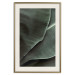 Poster Green Serenity - luxurious composition of leaves with distinct texture 135593 additionalThumb 26