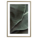 Poster Green Serenity - luxurious composition of leaves with distinct texture 135593 additionalThumb 23
