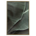 Poster Green Serenity - luxurious composition of leaves with distinct texture 135593 additionalThumb 2