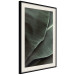 Poster Green Serenity - luxurious composition of leaves with distinct texture 135593 additionalThumb 16