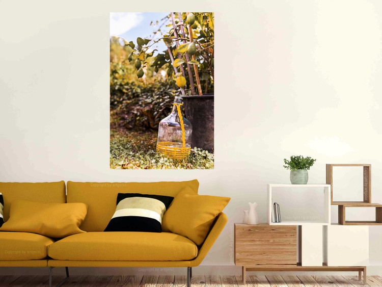 Poster Lemon Harvest - warm nature shot overlooking blooming plants 135893 additionalImage 14
