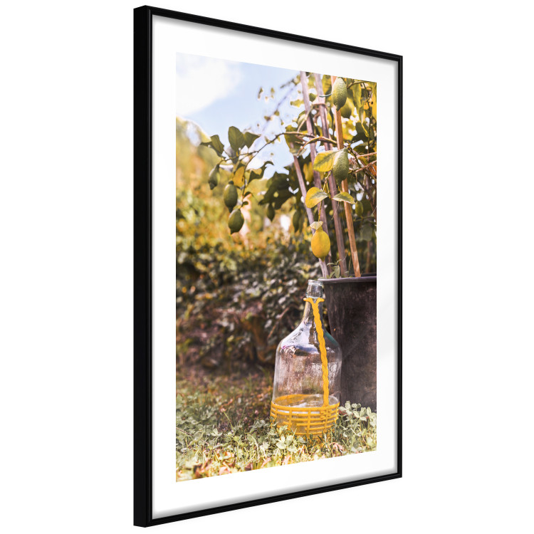 Poster Lemon Harvest - warm nature shot overlooking blooming plants 135893 additionalImage 4