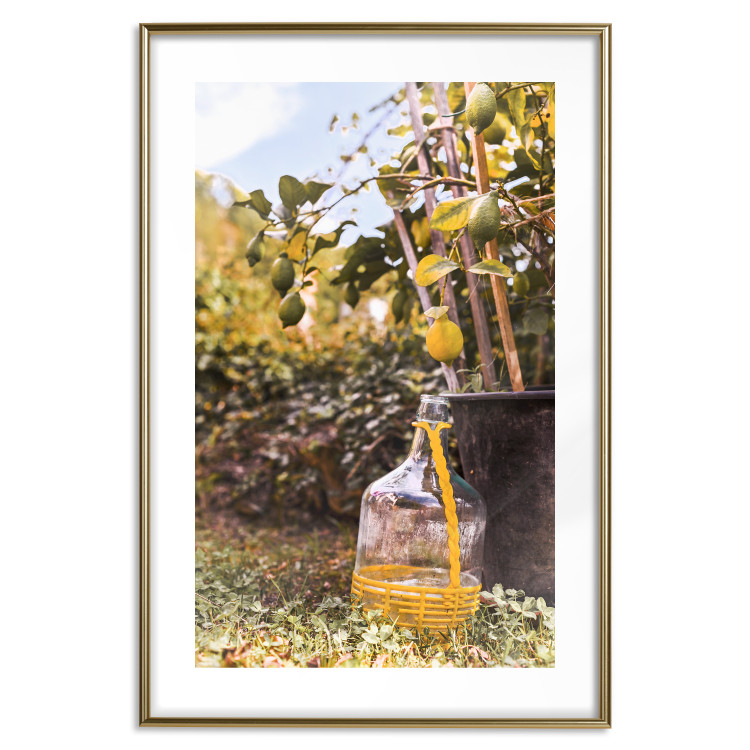 Poster Lemon Harvest - warm nature shot overlooking blooming plants 135893 additionalImage 16