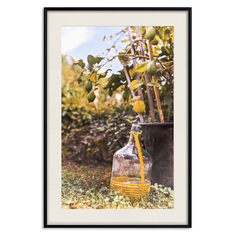 Poster Lemon Harvest - warm nature shot overlooking blooming plants 135893 additionalImage 20