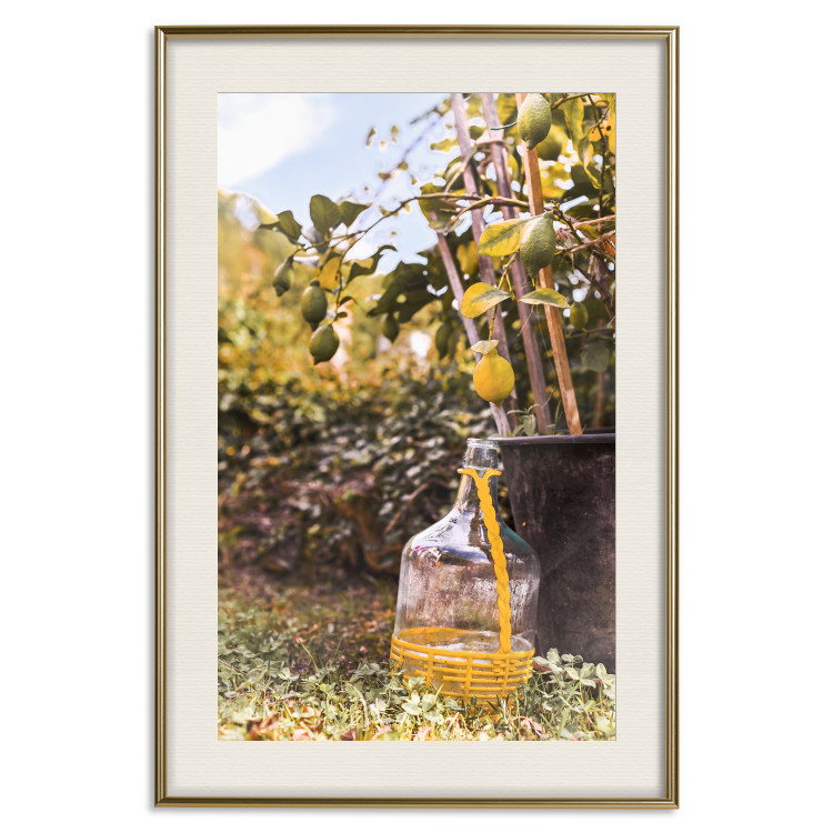 Poster Lemon Harvest - warm nature shot overlooking blooming plants 135893 additionalImage 21