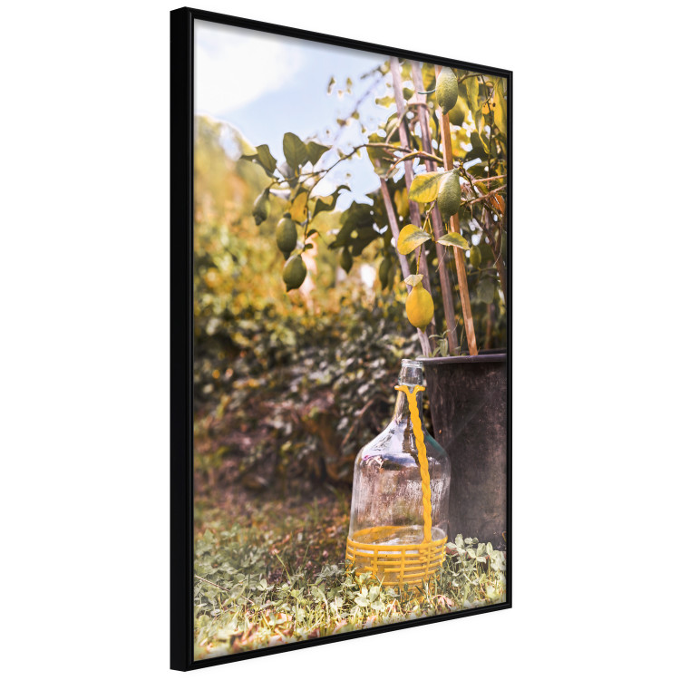 Poster Lemon Harvest - warm nature shot overlooking blooming plants 135893 additionalImage 3