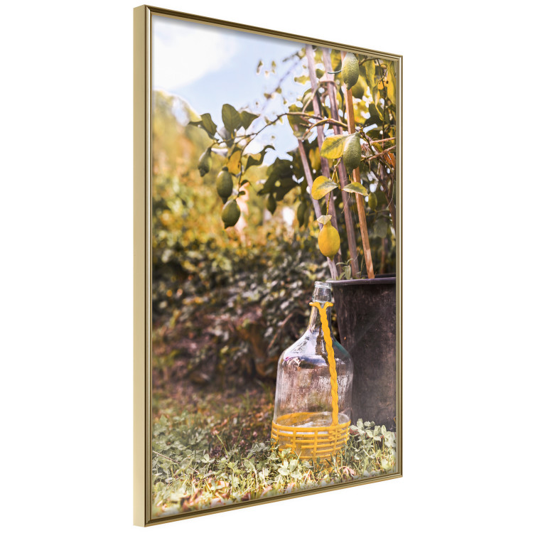 Poster Lemon Harvest - warm nature shot overlooking blooming plants 135893 additionalImage 8