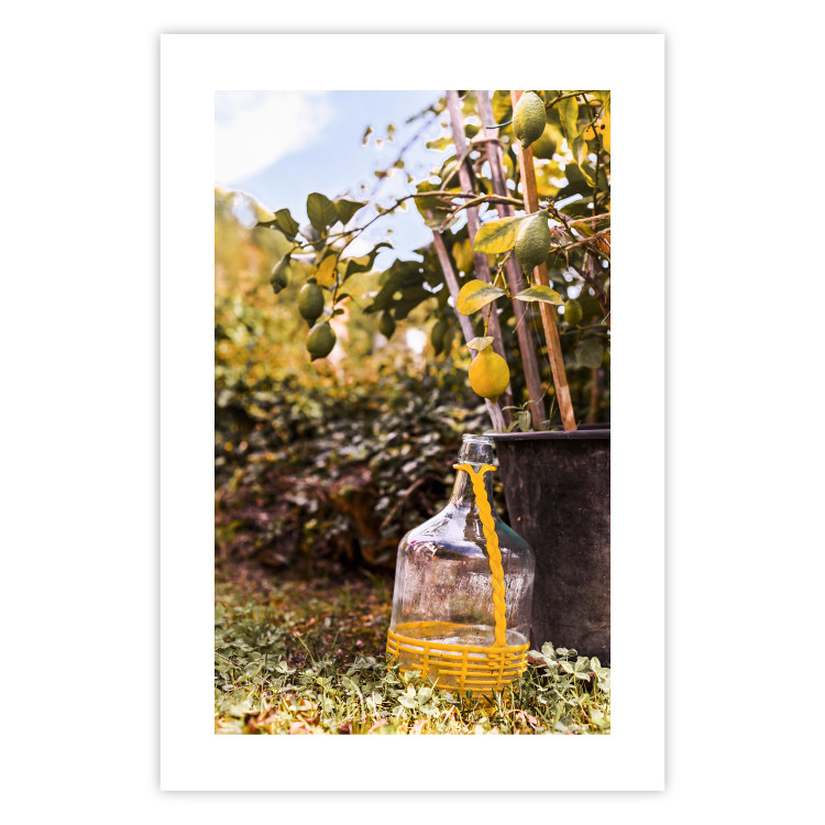 Poster Lemon Harvest - warm nature shot overlooking blooming plants 135893 additionalImage 27