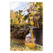Poster Lemon Harvest - warm nature shot overlooking blooming plants 135893