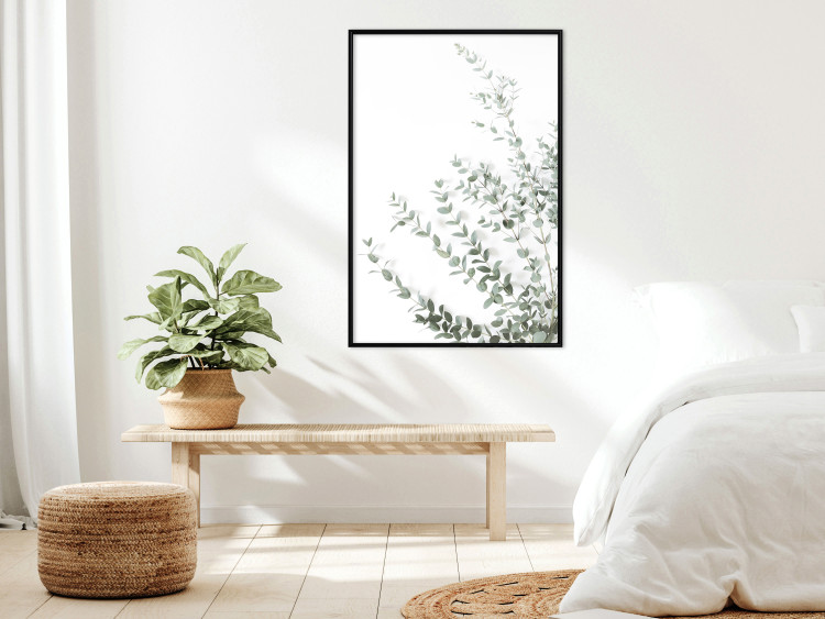 Wall Poster Eucalyptus Parvifolia - minimalist composition with green plant 137493 additionalImage 21