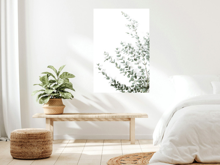 Wall Poster Eucalyptus Parvifolia - minimalist composition with green plant 137493 additionalImage 11