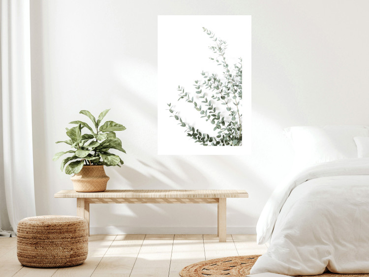 Wall Poster Eucalyptus Parvifolia - minimalist composition with green plant 137493 additionalImage 17