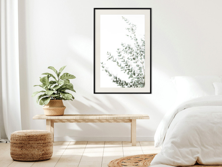 Wall Poster Eucalyptus Parvifolia - minimalist composition with green plant 137493 additionalImage 17