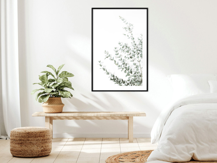 Wall Poster Eucalyptus Parvifolia - minimalist composition with green plant 137493 additionalImage 14