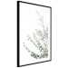 Wall Poster Eucalyptus Parvifolia - minimalist composition with green plant 137493 additionalThumb 19