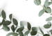 Wall Poster Eucalyptus Parvifolia - minimalist composition with green plant 137493 additionalThumb 4