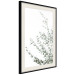 Wall Poster Eucalyptus Parvifolia - minimalist composition with green plant 137493 additionalThumb 24