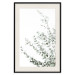 Wall Poster Eucalyptus Parvifolia - minimalist composition with green plant 137493 additionalThumb 6