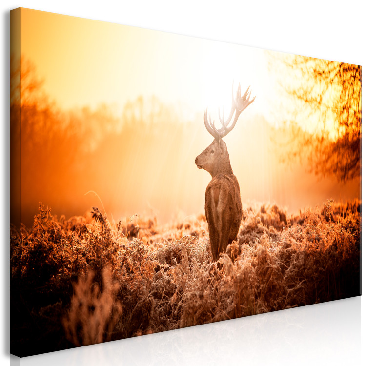 Large canvas print Deer in the Sun II [Large Format] 137593 additionalImage 2
