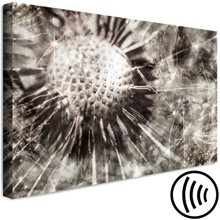 Canvas Print Dandelion in Grays (1-piece) Wide - field flower in sepia 142693 additionalImage 6
