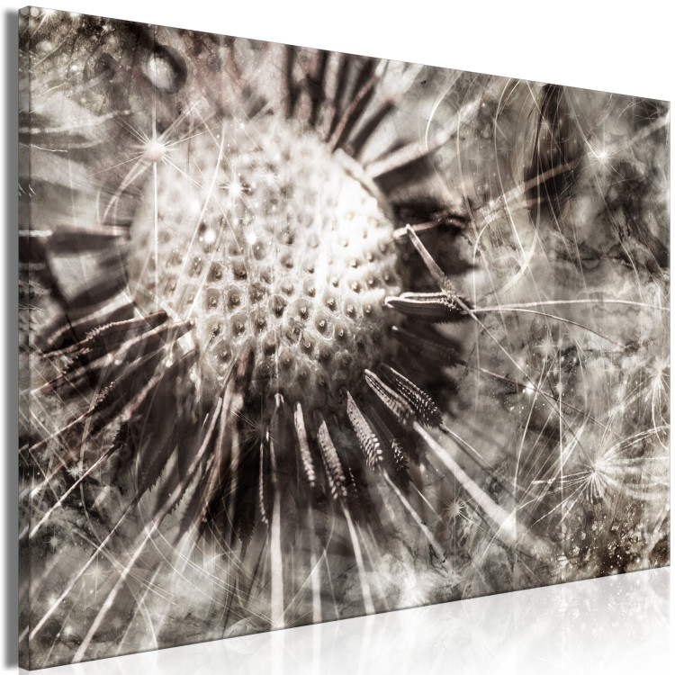 Canvas Print Dandelion in Grays (1-piece) Wide - field flower in sepia 142693 additionalImage 2