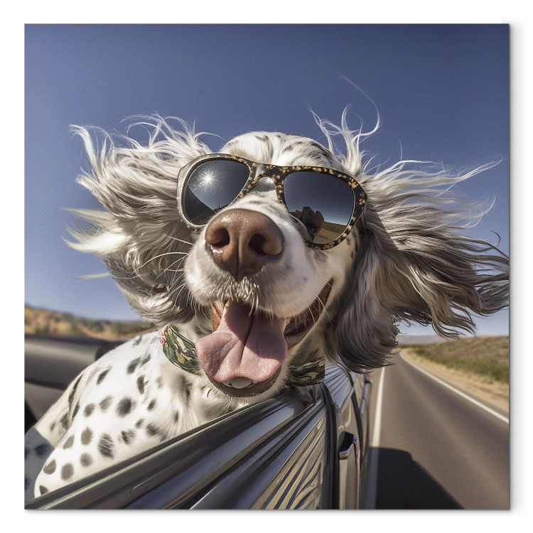 Canvas Art Print AI English Setter Dog - Animal With Glasses Riding in a Car - Square 150193