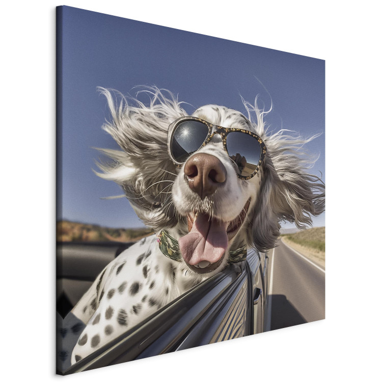 Canvas Art Print AI English Setter Dog - Animal With Glasses Riding in a Car - Square 150193 additionalImage 2