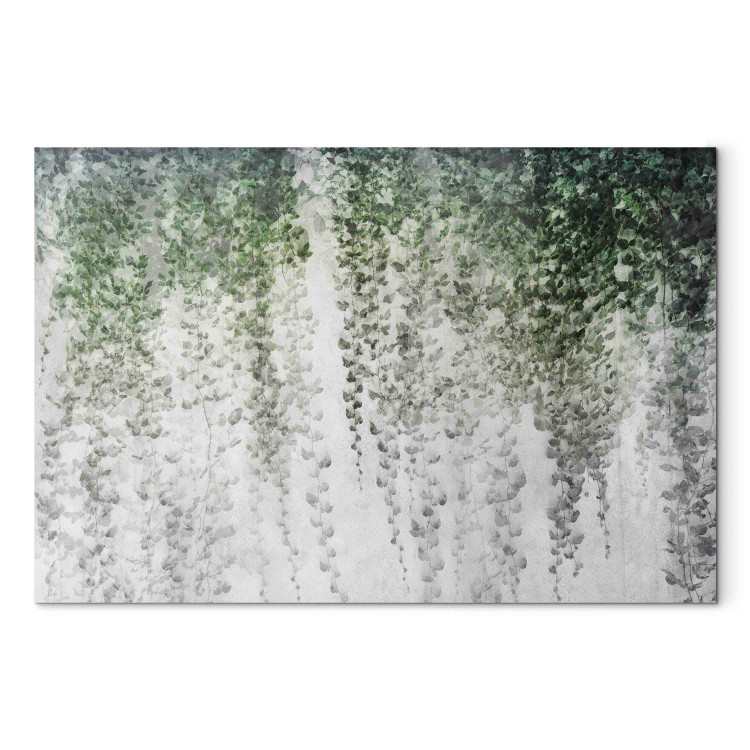 Large canvas print Oasis of Peace - Composition With Dark Ivy on the Background of the Wall [Large Format] 151493