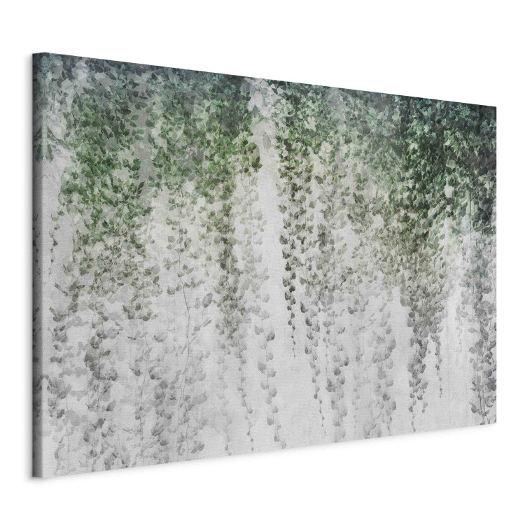 Large canvas print Oasis of Peace - Composition With Dark Ivy on the Background of the Wall [Large Format] 151493 additionalImage 2