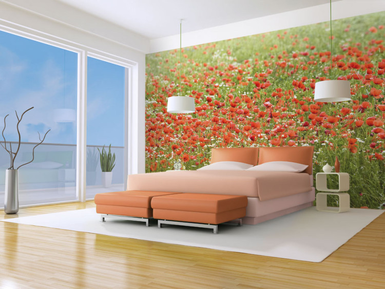 Photo Wallpaper Floral Meadow - Green Meadow with Red Poppies in the Center 60393