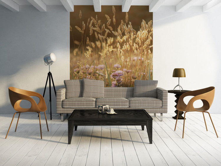 Wall Mural Fields of Wheat - Landscape of Blooming Plants with Delicate Flowers in the Sun 60493