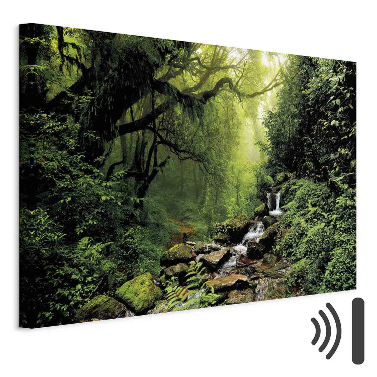 Canvas Waterfall in the Forest 98193 additionalImage 8