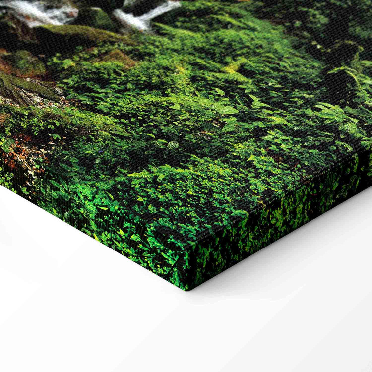 Canvas Waterfall in the Forest 98193 additionalImage 6